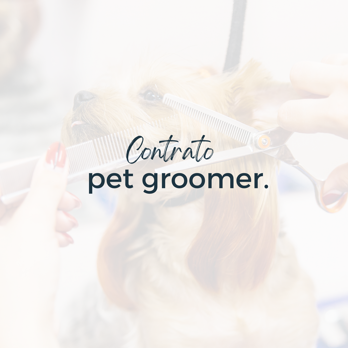 Contrato para servicios de pet groomer.